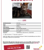 entlaufene Katzen Svg+xml,%3Csvg%20xmlns%3D%22http%3A%2F%2Fwww.w3