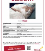 entlaufene Katzen Svg+xml,%3Csvg%20xmlns%3D%22http%3A%2F%2Fwww.w3