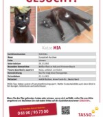 entlaufene Katzen Svg+xml,%3Csvg%20xmlns%3D%22http%3A%2F%2Fwww.w3