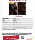 entlaufene Katzen Svg+xml,%3Csvg%20xmlns%3D%22http%3A%2F%2Fwww.w3