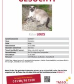 entlaufene Katzen Svg+xml,%3Csvg%20xmlns%3D%22http%3A%2F%2Fwww.w3