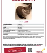 entlaufene Katzen Svg+xml,%3Csvg%20xmlns%3D%22http%3A%2F%2Fwww.w3