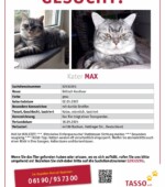 entlaufene Katzen Svg+xml,%3Csvg%20xmlns%3D%22http%3A%2F%2Fwww.w3