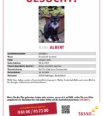 entlaufene Katzen Svg+xml,%3Csvg%20xmlns%3D%22http%3A%2F%2Fwww.w3