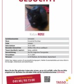 entlaufene Katzen Svg+xml,%3Csvg%20xmlns%3D%22http%3A%2F%2Fwww.w3