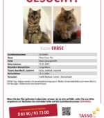 entlaufene Katzen Svg+xml,%3Csvg%20xmlns%3D%22http%3A%2F%2Fwww.w3