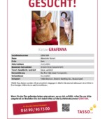 entlaufene Katzen Svg+xml,%3Csvg%20xmlns%3D%22http%3A%2F%2Fwww.w3