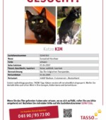 entlaufene Katzen Svg+xml,%3Csvg%20xmlns%3D%22http%3A%2F%2Fwww.w3