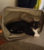 Lutz 5 Mon. Svg+xml,%3Csvg%20xmlns%3D%22http%3A%2F%2Fwww.w3