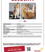 entlaufene Katzen Svg+xml,%3Csvg%20xmlns%3D%22http%3A%2F%2Fwww.w3