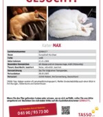 entlaufene Katzen Svg+xml,%3Csvg%20xmlns%3D%22http%3A%2F%2Fwww.w3