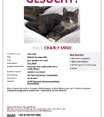 entlaufene Katzen Svg+xml,%3Csvg%20xmlns%3D%22http%3A%2F%2Fwww.w3