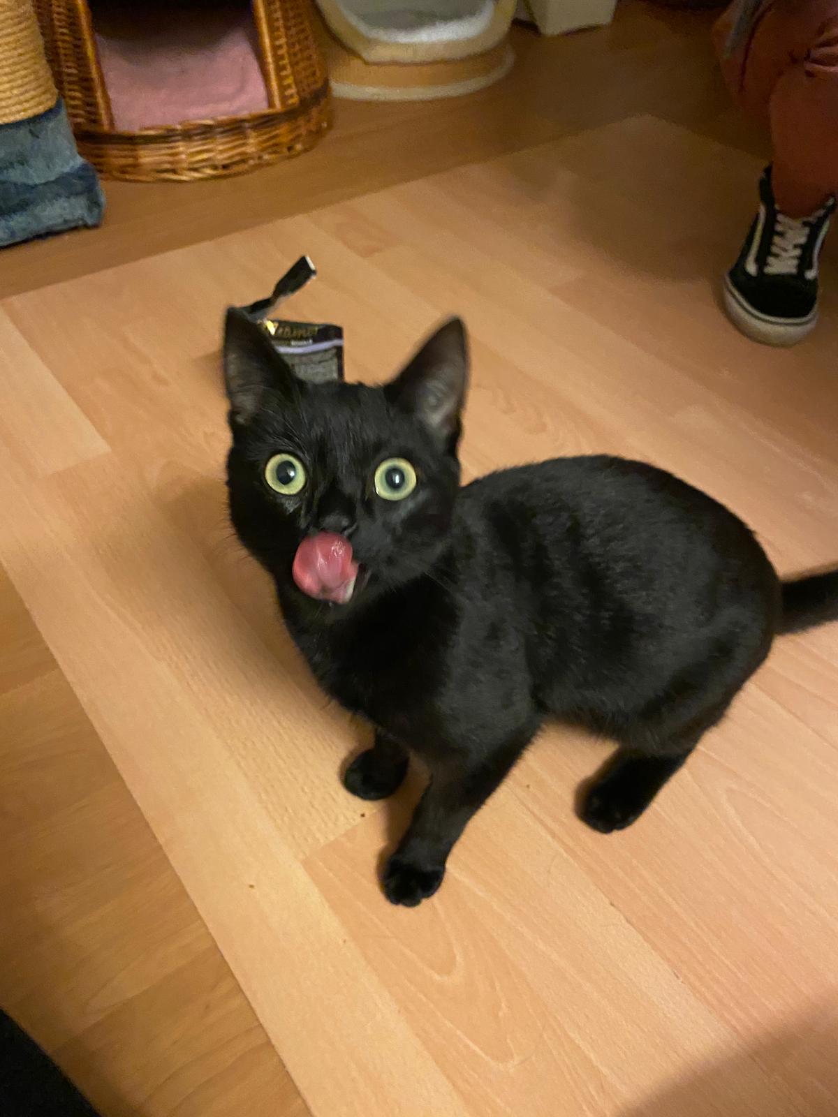 Registrierung 2020 09 11 01