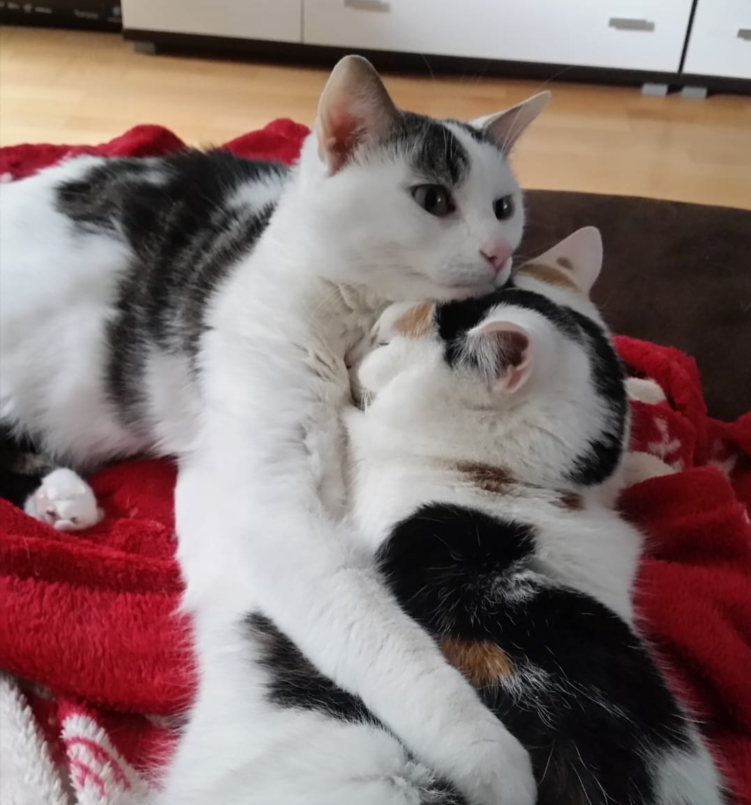 Registrierung 1000380320