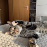 Home IMG 3938 150x150