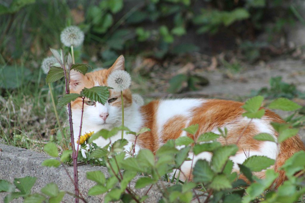 2022 Header Start 1024x683