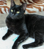 Blacky