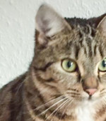 Frieda Frieda