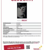 Rocky