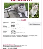 entlaufene Katzen Svg+xml,%3Csvg%20xmlns%3D%22http%3A%2F%2Fwww.w3