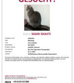 entlaufene Katzen Svg+xml,%3Csvg%20xmlns%3D%22http%3A%2F%2Fwww.w3