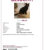 entlaufene Katzen Svg+xml,%3Csvg%20xmlns%3D%22http%3A%2F%2Fwww.w3