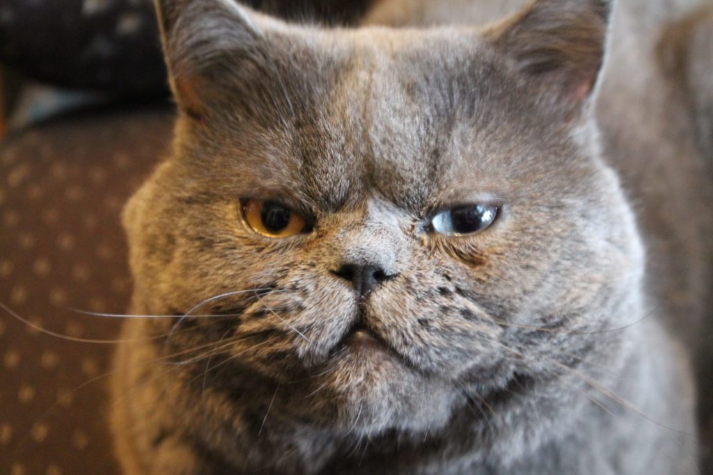 Spenden und Helfen IMG 4178 Scaled 1024x683